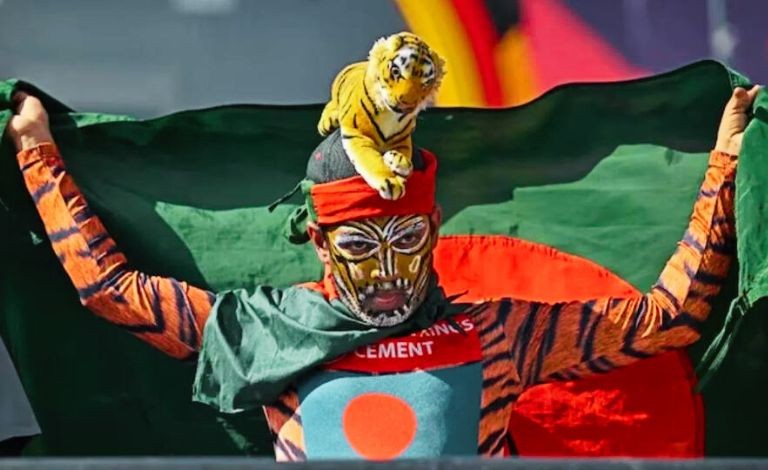 Tiger Fan