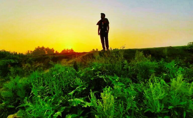 পথের দিশা