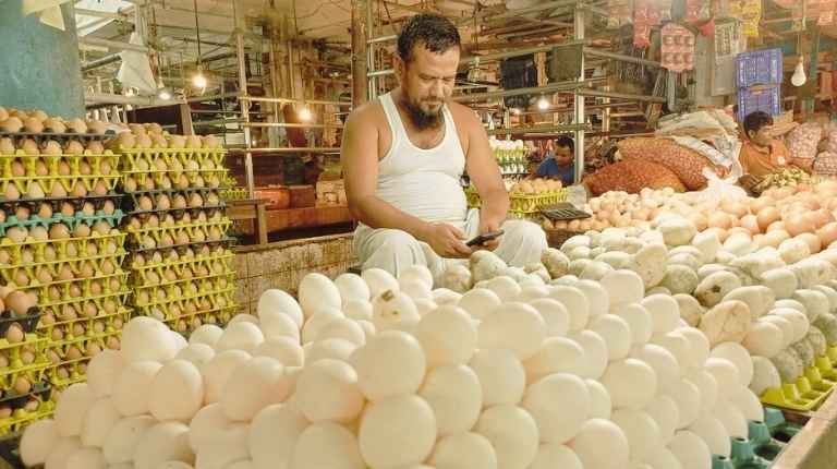 ডিমের বাজার