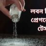 লবন দিয়ে প্রেগনেন্সি টেস্ট