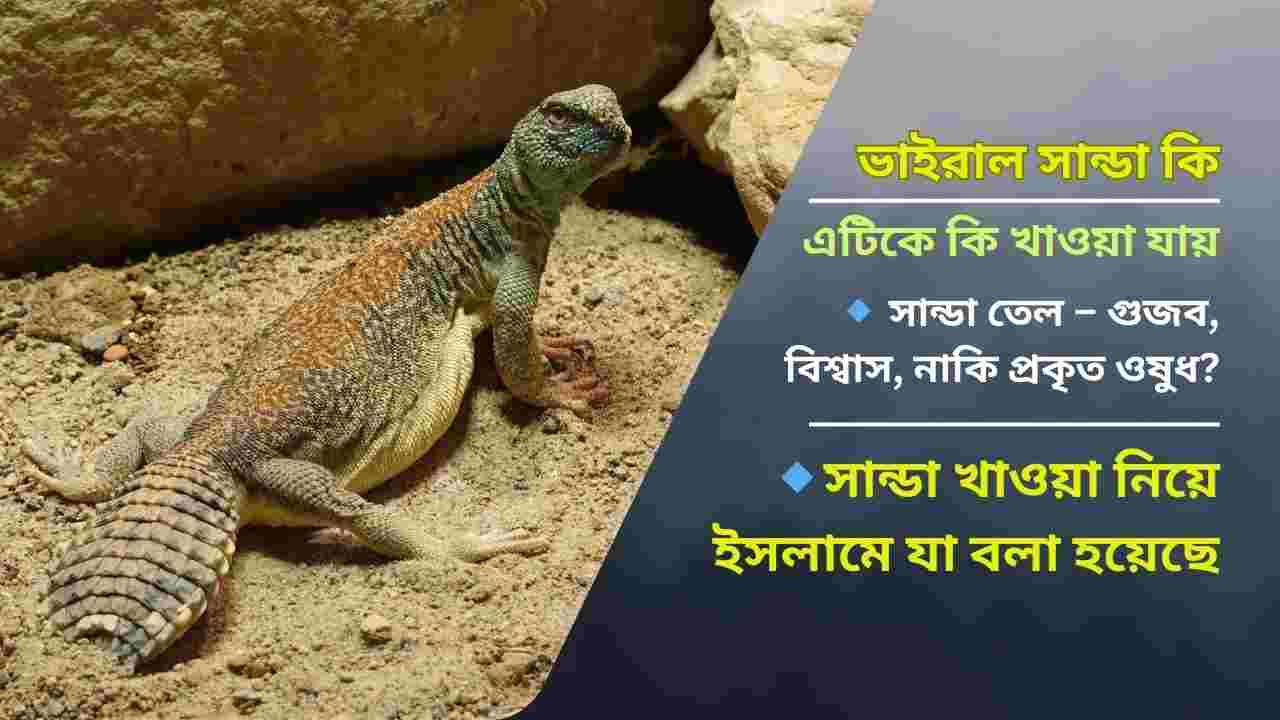 সান্ডা এল কোথা থেকে, সান্ডা নিয়ে কেন এত আলোচনা